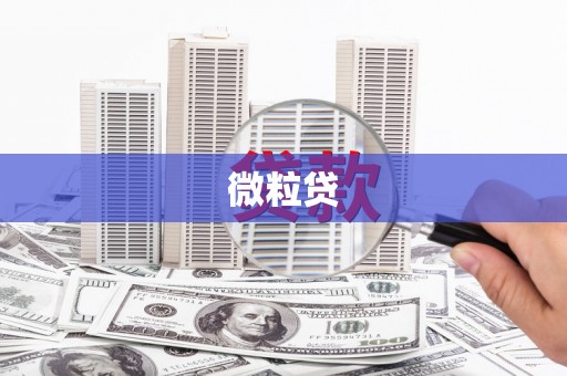 天津微粒贷