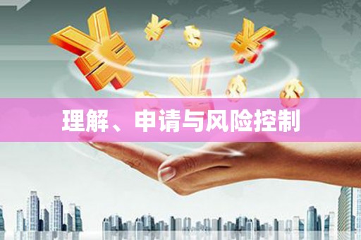 天津理解、申请与风险控制