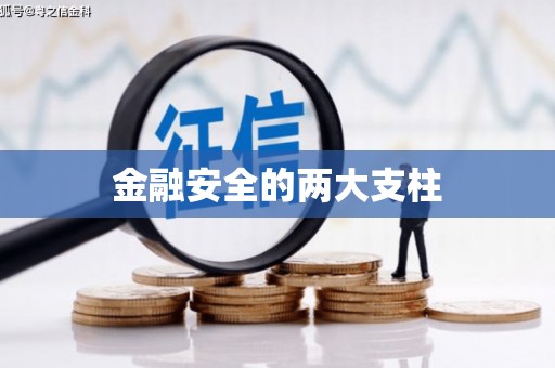 天津金融安全的两大支柱