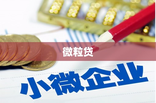 天津微粒贷