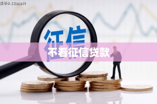 天津不看征信贷款