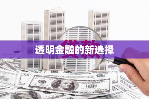 天津透明金融的新选择