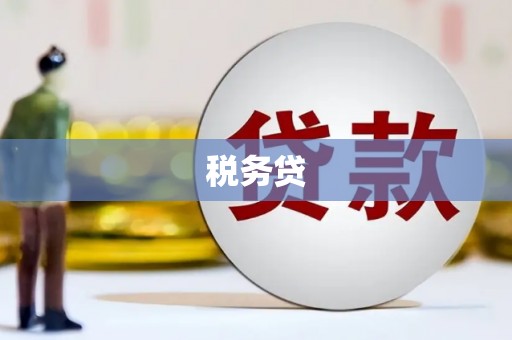 天津税务贷