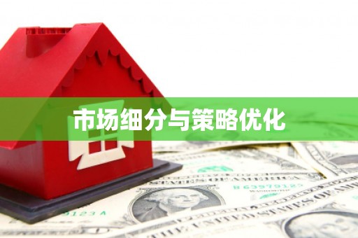 天津市场细分与策略优化