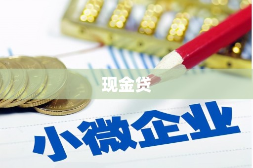 天津现金贷