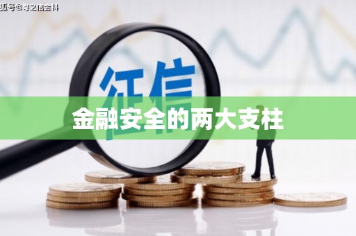天津金融安全的两大支柱