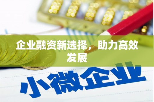 天津企业融资新选择，助力高效发展