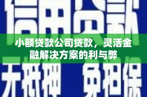 天津小额贷款公司贷款，灵活金融解决方案的利与弊