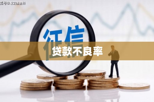 天津贷款不良率